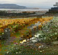 Mona and Wine Experience Tour - Holiday Great Ocean Road