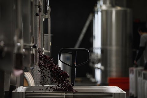Private 90-minute Moorilla Estate Winery Tour With Tastings And Free Wine Gift - Holiday Great Ocean Road 1