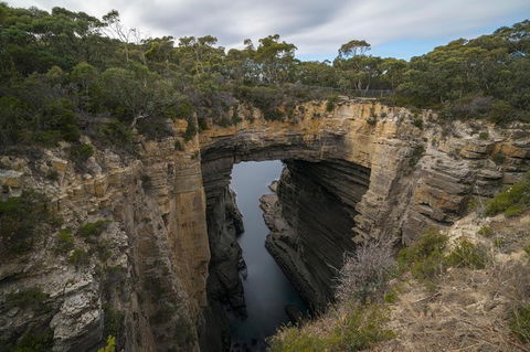 Cruise Ship Special From Port Arthur: Explore Tasman Peninsula With Free WiFi - Holiday Great Ocean Road 2
