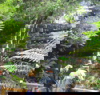 Mt Field National Park and Russell Falls from Hobart - Holiday Great Ocean Road