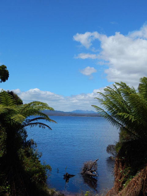 Gordon River Cruise Departing From Strahan - Holiday Great Ocean Road 20