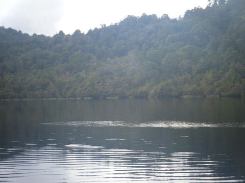 Gordon River Cruise Departing From Strahan - Holiday Great Ocean Road 23