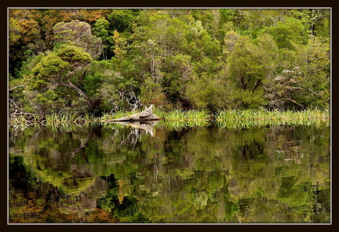 Gordon River Cruise Departing From Strahan - Holiday Great Ocean Road 12