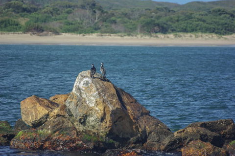 Gordon River Cruise Departing From Strahan - Holiday Great Ocean Road 11