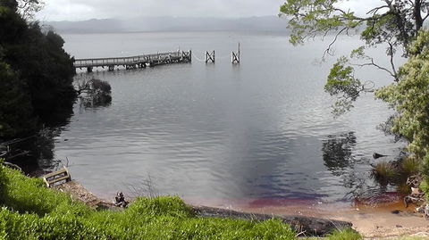 Gordon River Cruise Departing From Strahan - Holiday Great Ocean Road 22