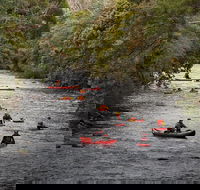 Meander Wilderness Experiences - Holiday Great Ocean Road