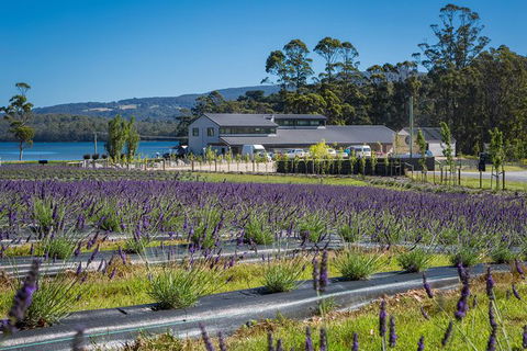 Private Tasman Peninsula Cruise Ship Tour From Port Arthur - Holiday Great Ocean Road 0