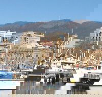 Private Mt Wellington Richmond Bonorong Wildlife Sanctuary Tour from Hobart - Holiday Great Ocean Road