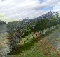 Coal River Valley  Hobart food  wine grazing tour - Holiday Great Ocean Road