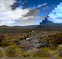 6-Day Overland Track PhotoTour - Holiday Great Ocean Road