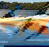 Adelaide Dolphin Sanctuary and Ships Graveyard Kayak Tour - Holiday Great Ocean Road