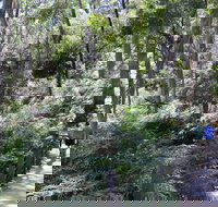 Self-Guided Waterfall Gully to Mount Lofty Hike from Adelaide - Holiday Great Ocean Road