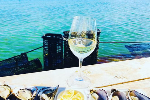 Coffin Bay Oyster Farm & Tasting Tour - Holiday Great Ocean Road 11