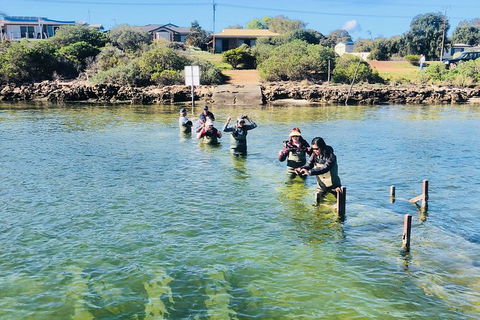 Coffin Bay Oyster Farm & Tasting Tour - Holiday Great Ocean Road 6