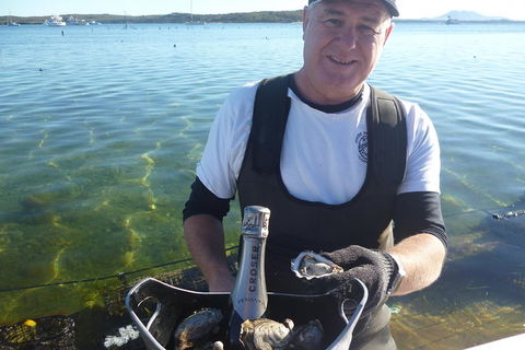 Coffin Bay Oyster Farm & Tasting Tour - Holiday Great Ocean Road 2