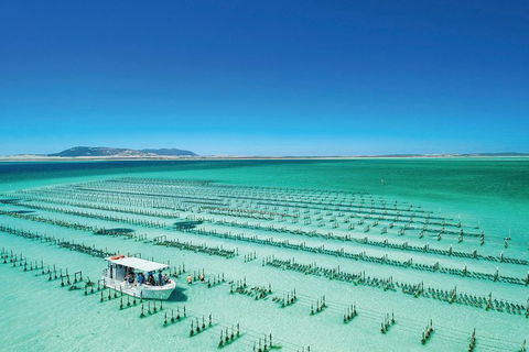Coffin Bay Private Day Tour From Port Lincoln - A Taste Of Coffin Bay - Holiday Great Ocean Road 0