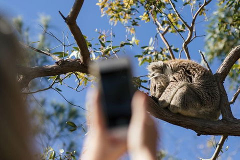 Exceptional Port Lincoln, Seafood And Wildlife Tour - Holiday Great Ocean Road 0