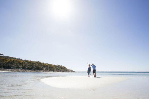 Exceptional Port Lincoln, Seafood And Wildlife Tour - Holiday Great Ocean Road 1