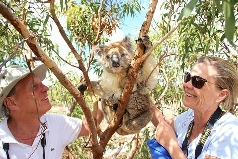 Exceptional Port Lincoln, Seafood And Wildlife Tour - Holiday Great Ocean Road 6