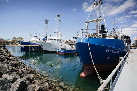 Exceptional Port Lincoln, Seafood And Wildlife Tour - Holiday Great Ocean Road 8