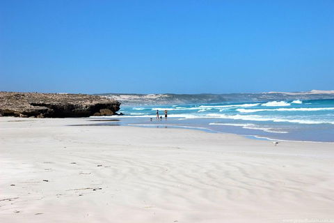 Exceptional Port Lincoln, Seafood And Wildlife Tour - Holiday Great Ocean Road 4