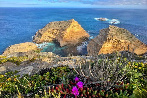 One Day Port Lincoln Tour - Tasting Eyre - Holiday Great Ocean Road 1