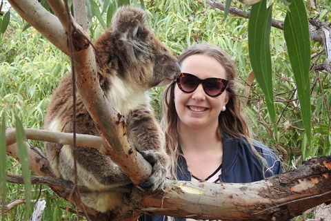 One Day Port Lincoln Tour - Tasting Eyre - Holiday Great Ocean Road 0