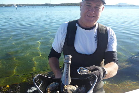 Oyster Farm And Tasting Tour With Hotel Pick-up And Return From Port Lincoln - Holiday Great Ocean Road 0