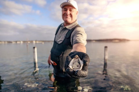 Oyster Farm And Tasting Tour With Hotel Pick-up And Return From Port Lincoln - Holiday Great Ocean Road 3