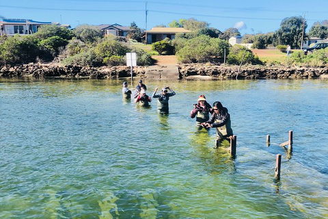 Oyster Farm And Tasting Tour With Hotel Pick-up And Return From Port Lincoln - Holiday Great Ocean Road 6