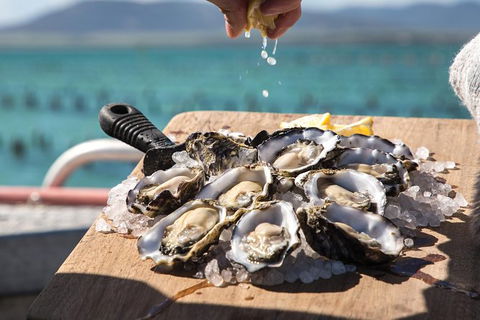 Experience Coffin Bay Short And Sweet Oyster Farm Tour - Holiday Great Ocean Road 0