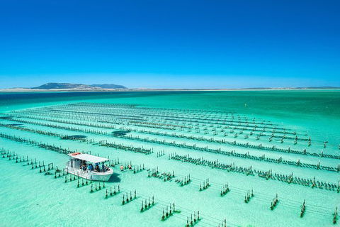 Experience Coffin Bay Short And Sweet Oyster Farm Tour - Holiday Great Ocean Road 5