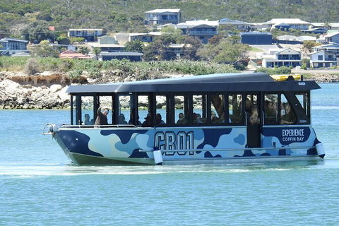 Experience Coffin Bay Short And Sweet Oyster Farm Tour - Holiday Great Ocean Road 9