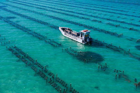 Experience Coffin Bay Short And Sweet Oyster Farm Tour - Holiday Great Ocean Road 7