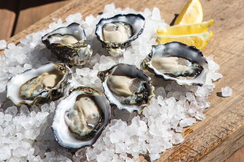 Experience Coffin Bay Short And Sweet Oyster Farm Tour - Holiday Great Ocean Road 3