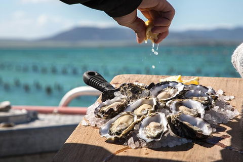 Experience Coffin Bay Oyster Farm And Bay Tour - Holiday Great Ocean Road 0