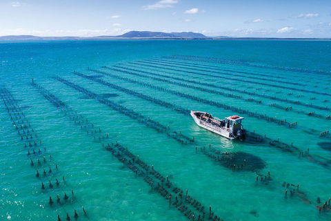 Experience Coffin Bay Oyster Farm And Bay Tour - Holiday Great Ocean Road 1