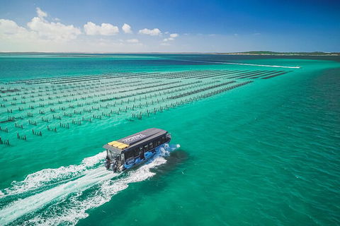 Experience Coffin Bay Oyster Farm And Bay Tour - Holiday Great Ocean Road 2