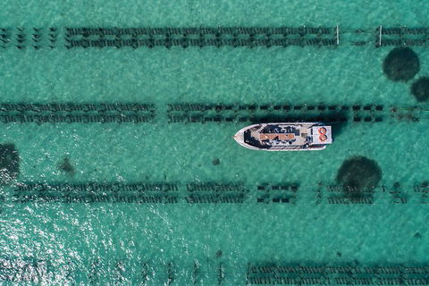 Experience Coffin Bay Oyster Farm And Bay Tour - Holiday Great Ocean Road 4