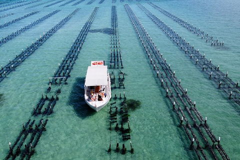 Experience Coffin Bay Oyster Farm And Bay Tour - Holiday Great Ocean Road 8