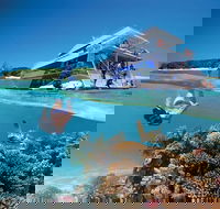 3-Day Southern Great Barrier Reef Tour Including Lady Musgrave Island - Holiday Great Ocean Road