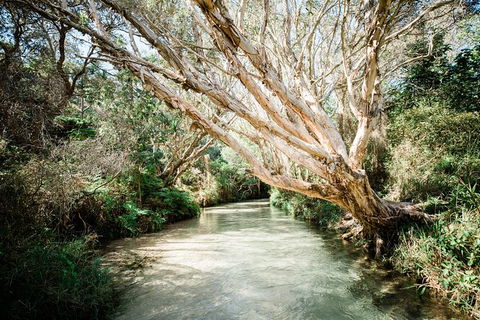 All-Inclusive 2-Day Fraser Island Tour - Holiday Great Ocean Road 11