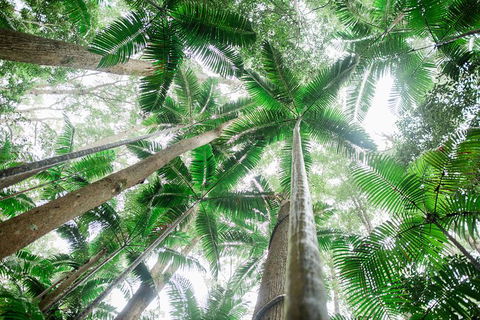 All-Inclusive 2-Day Fraser Island Tour - Holiday Great Ocean Road 8