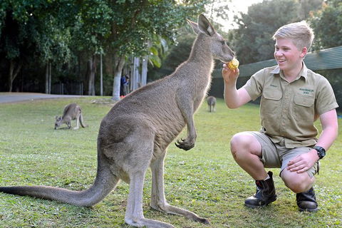 Small-Group Australia Zoo Day Trip From Brisbane - Holiday Great Ocean Road 6