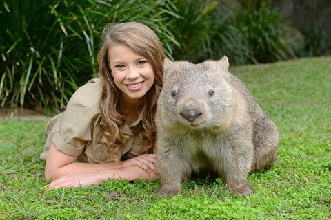 Small-Group Australia Zoo Day Trip From Brisbane - Holiday Great Ocean Road 5