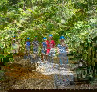 Whitsunday Segway Rainforest Discovery Tour - Holiday Great Ocean Road
