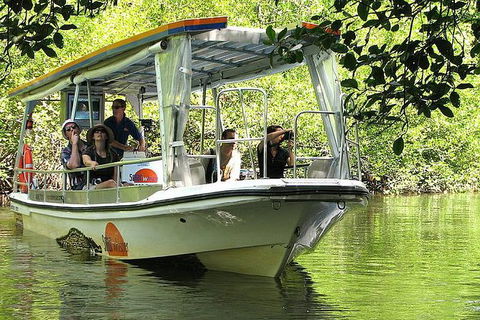 Cairns Reef And Rainforest Combo: Daintree Rainforest And The Great Barrier Reef - Holiday Great Ocean Road 5