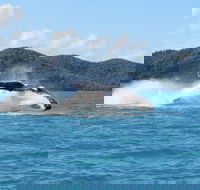 Whitsundays Whale Watching Cruise from Airlie Beach - Holiday Great Ocean Road