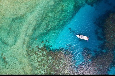 Great Barrier Reef Dive And Snorkel Cruise From Mission Beach - Holiday Great Ocean Road 3