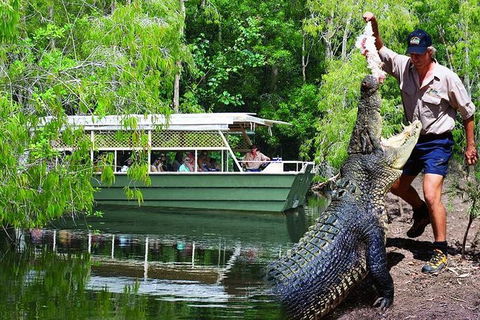 Crocs, Creatures And Culture Ex Northern Beaches - Holiday Great Ocean Road 1